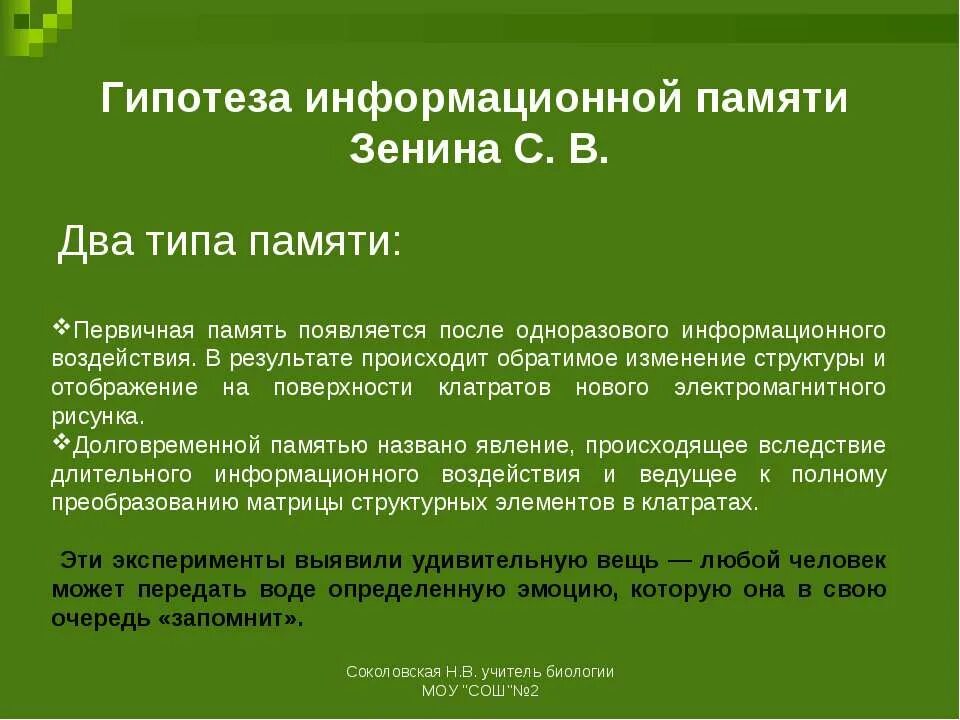 Информационная гипотеза. Гипотеза памяти. Первичная память. Гипотеза информационной инфраструктуры это.