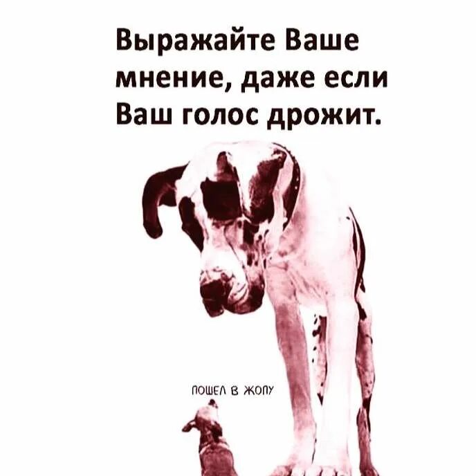 Сойти трясти