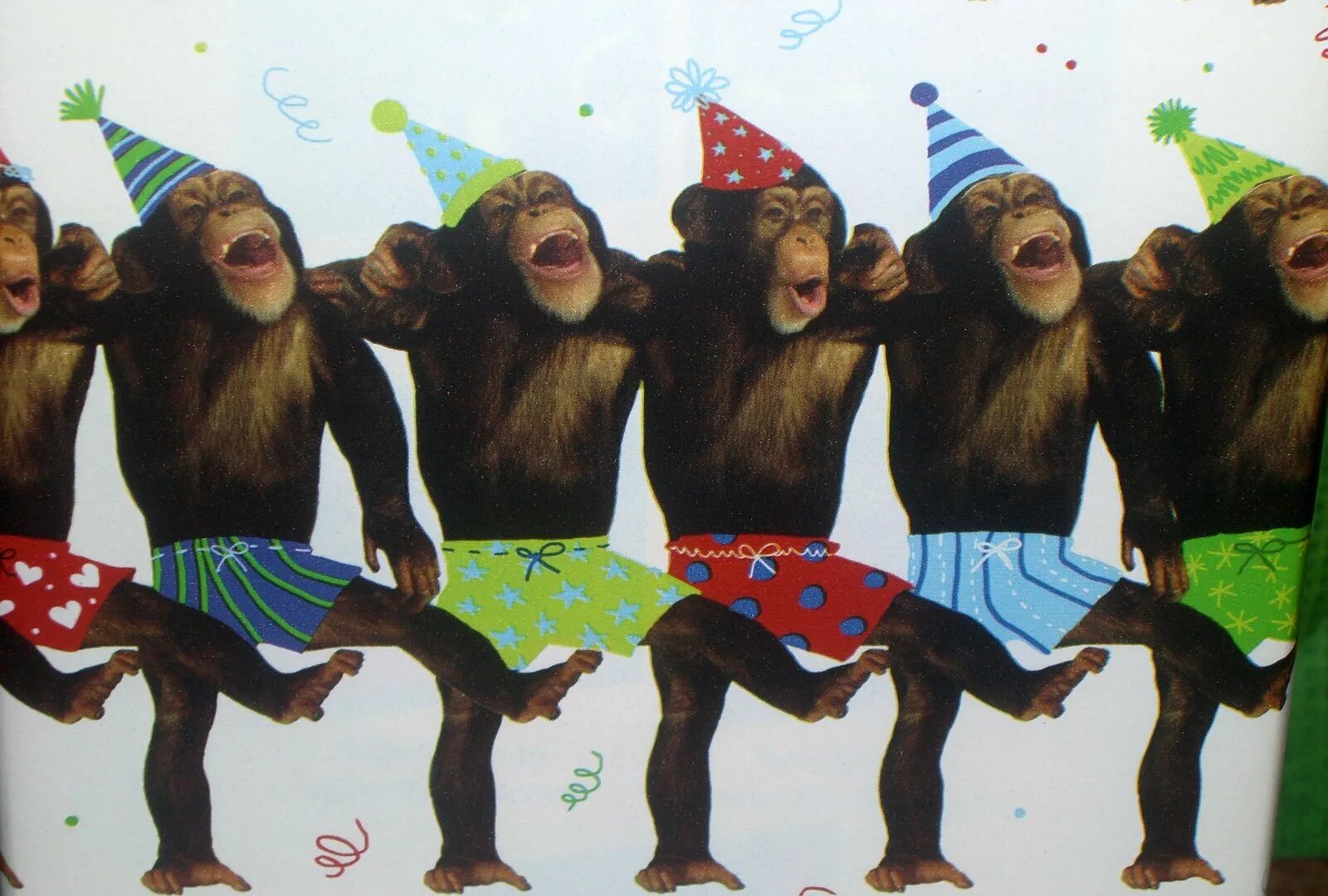 Танцующие обезьяны песня. Обезьяна поет. Танец обезьян. Обезьяна танцует. Танцующие обезьяны.