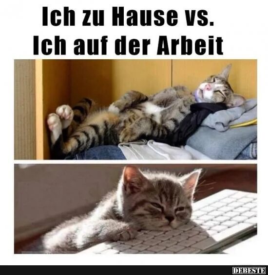 Ich sein zu hause. Burn out arbeit lustig. arbeit-zu hause регистрация.