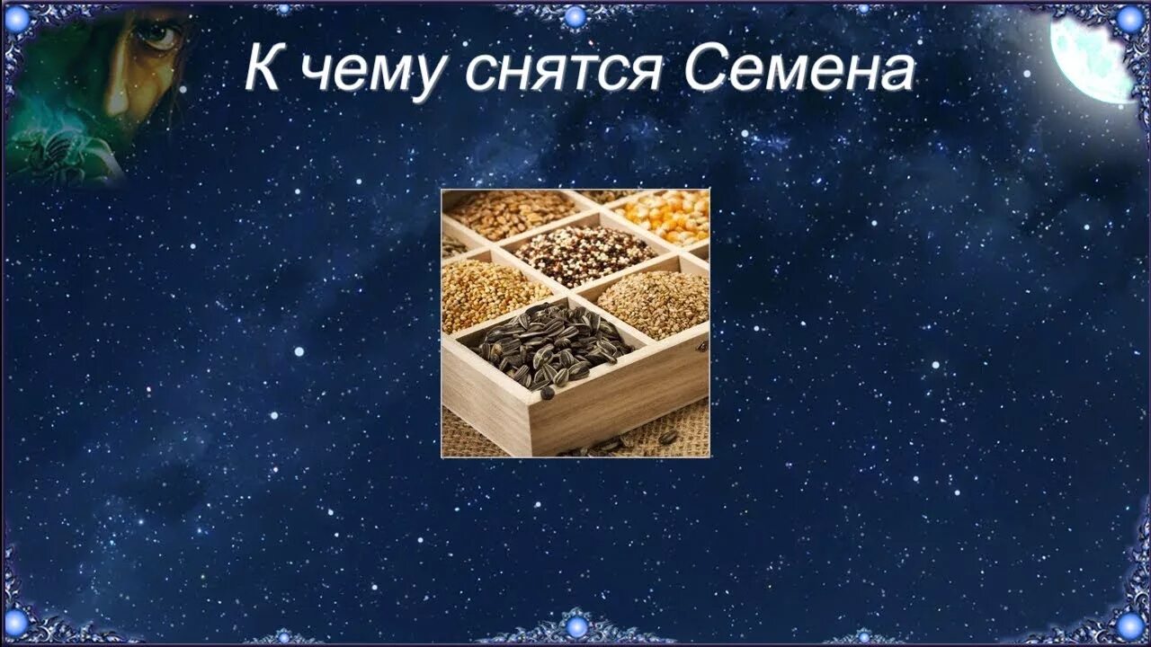 К чему снятся семена цветов. К чему снятся семена цветов. К чему снятся семена цветов. К чему снятся семена цветов. К чему снятся семена цветов.
