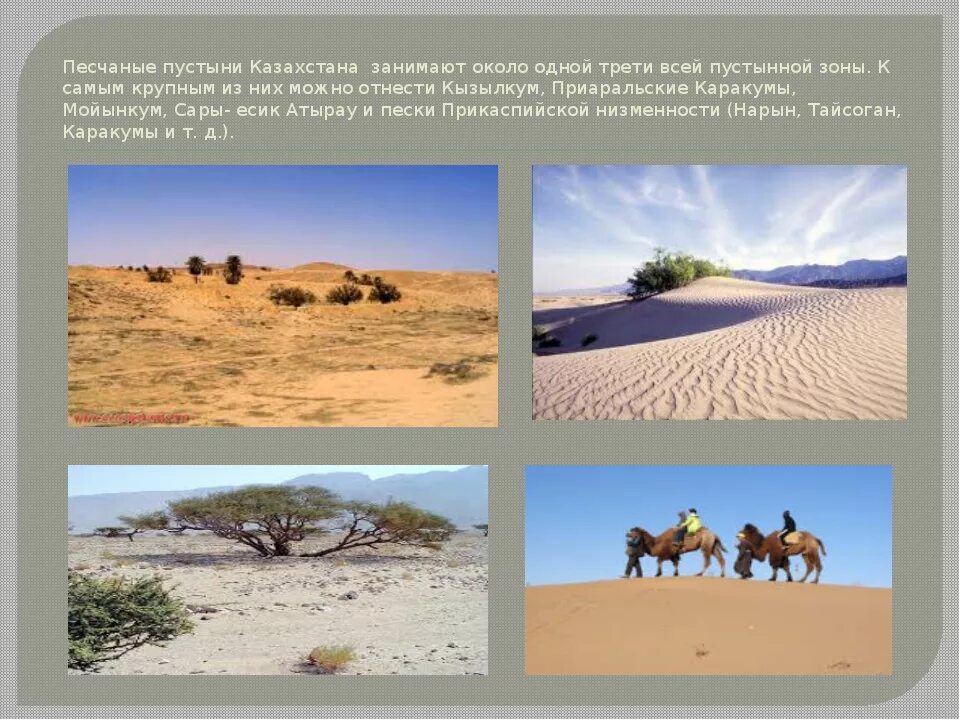 Полупустыни Казахстана. Пустыни и полупустыни природная зона. Растительный мир пустыни. Экосистема пустыни.