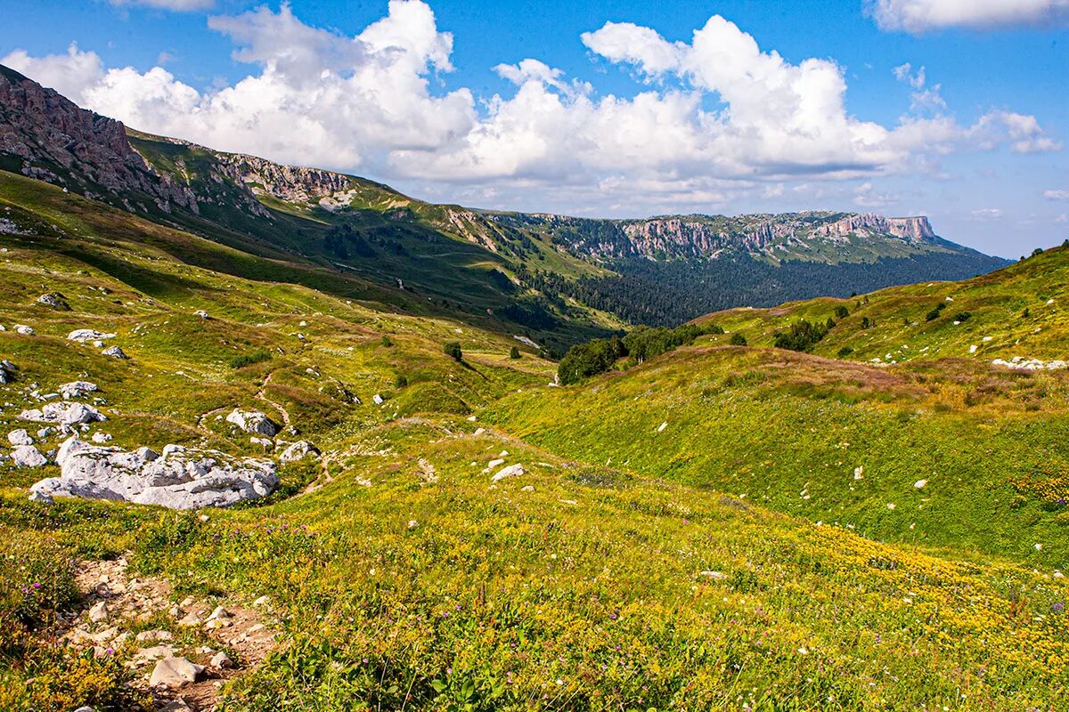 Лаго наки в августе. Плато лагонаки адыгея. Плато лагонаки адыгея. Плато лаго-наки адыгея. Поход по плато лагонаки.