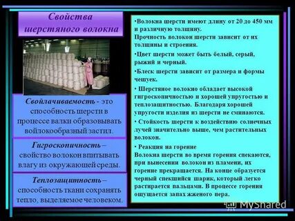 Основными районами производства шерсти являются