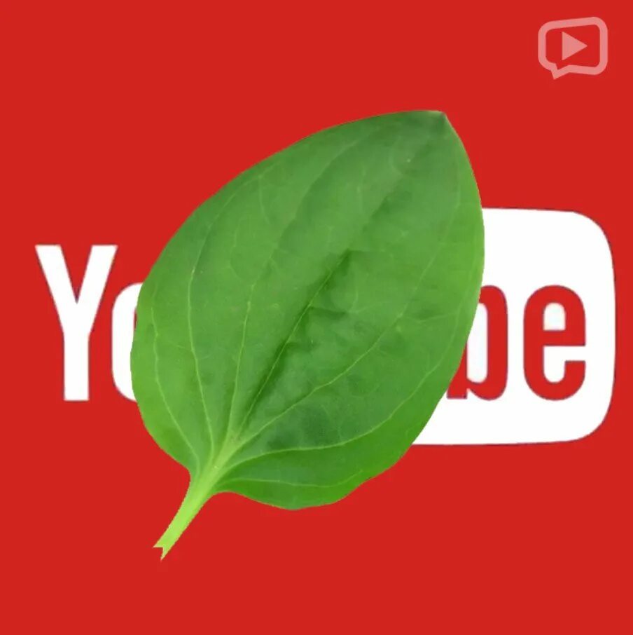 Ютуб не забытая. Ютуб youtube наука. Ютуб не забытая. Смайлики для ютуба. Ютуб не забытая.