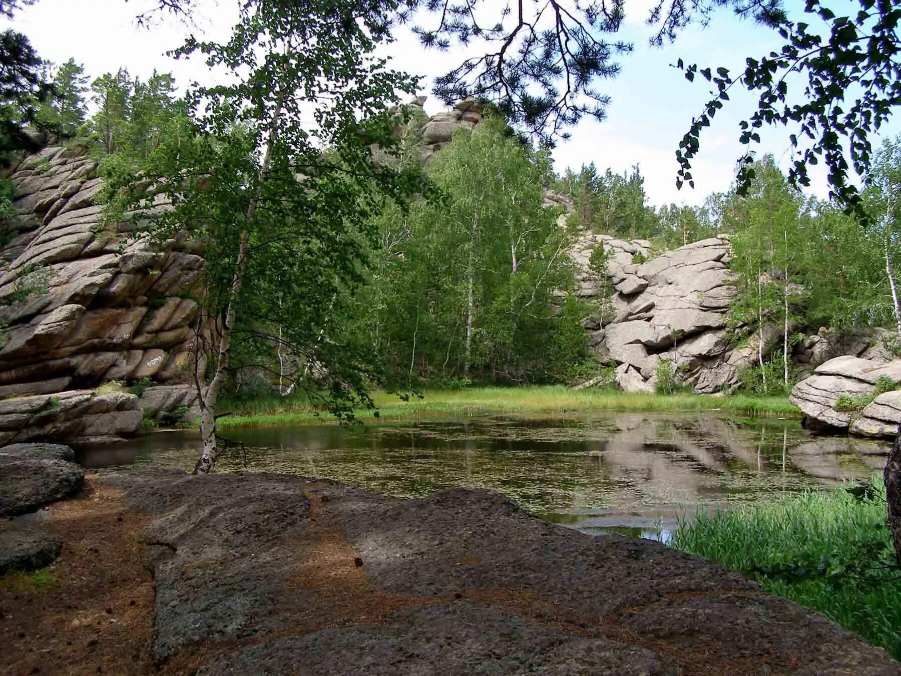 Барнаул курья. Озеро Моховое Алтайский край Курьинский район. Озеро Моховое Курьинский район. Озеро Моховое Горная Колывань. Озеро Моховое Колывань.