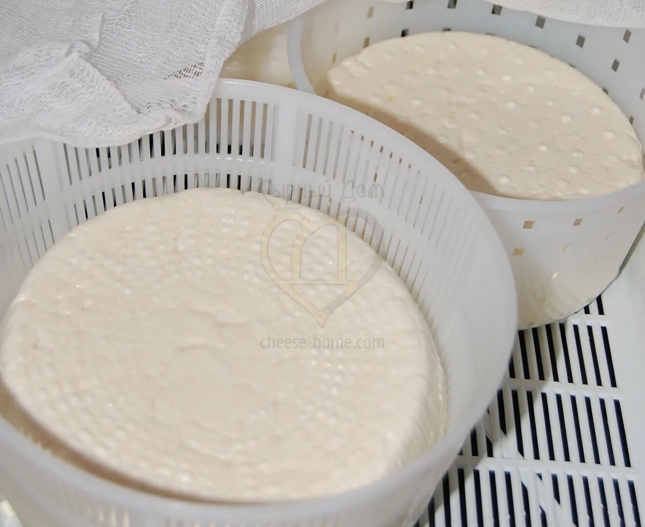 Домашний сыр качотта рецепт. Сыр Качотта приготовление. Рецепт сыра Качотта. Технологии приготовления сыра Качотта. Предметы для сыроделия.