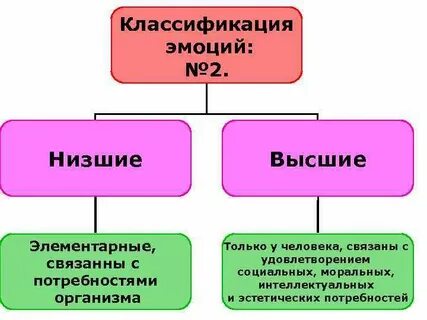 Планы высшие или низшие