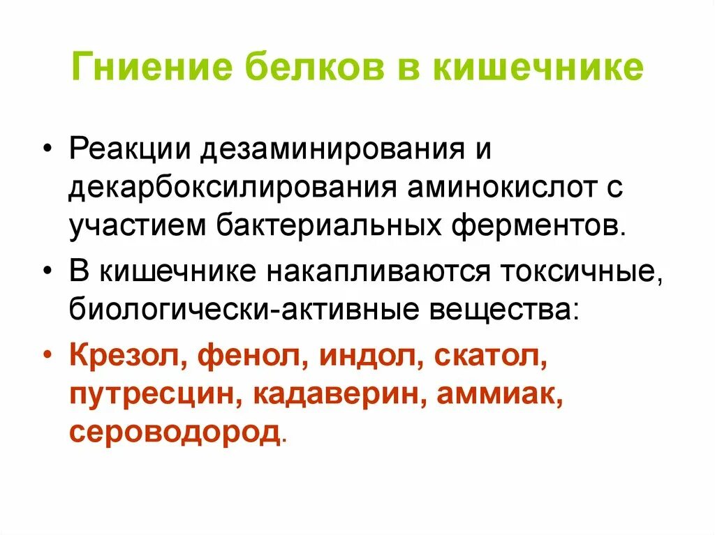 Гниение белка в кишечнике. Брожение в толстой кишке. В толстом кишечнике отсутствуют. Причины гниения белков в кишечнике. Гниение в кишечнике биохимия.