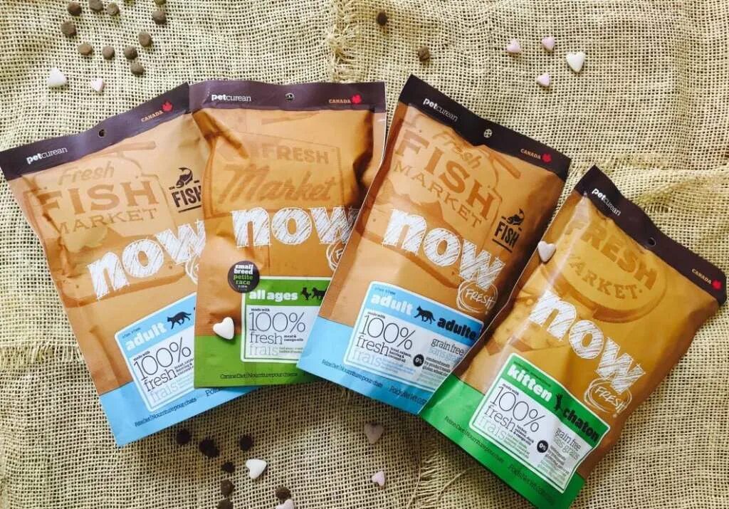Now корм для кошек. Корм для собак холистик now. now holistic для кошек. нау натурал холистик для кошек. now fresh корм для кошек.