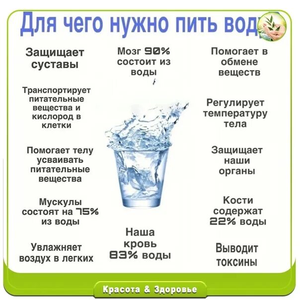 До скольких часов можно пить воду