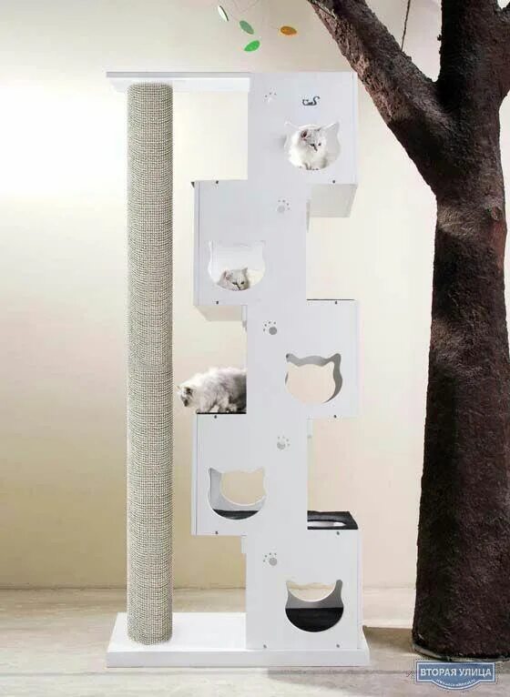 Cat playground