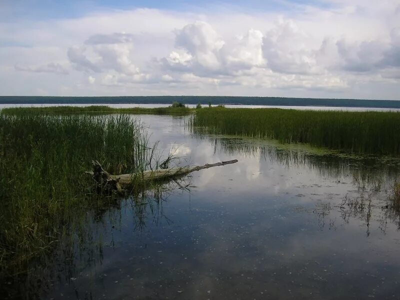 Р шарап. Село Чингис Ордынский район. Река Ордынка Новосибирская область. Шарап озеро Новосибирск. Озеро в Спирино Новосибирская область.