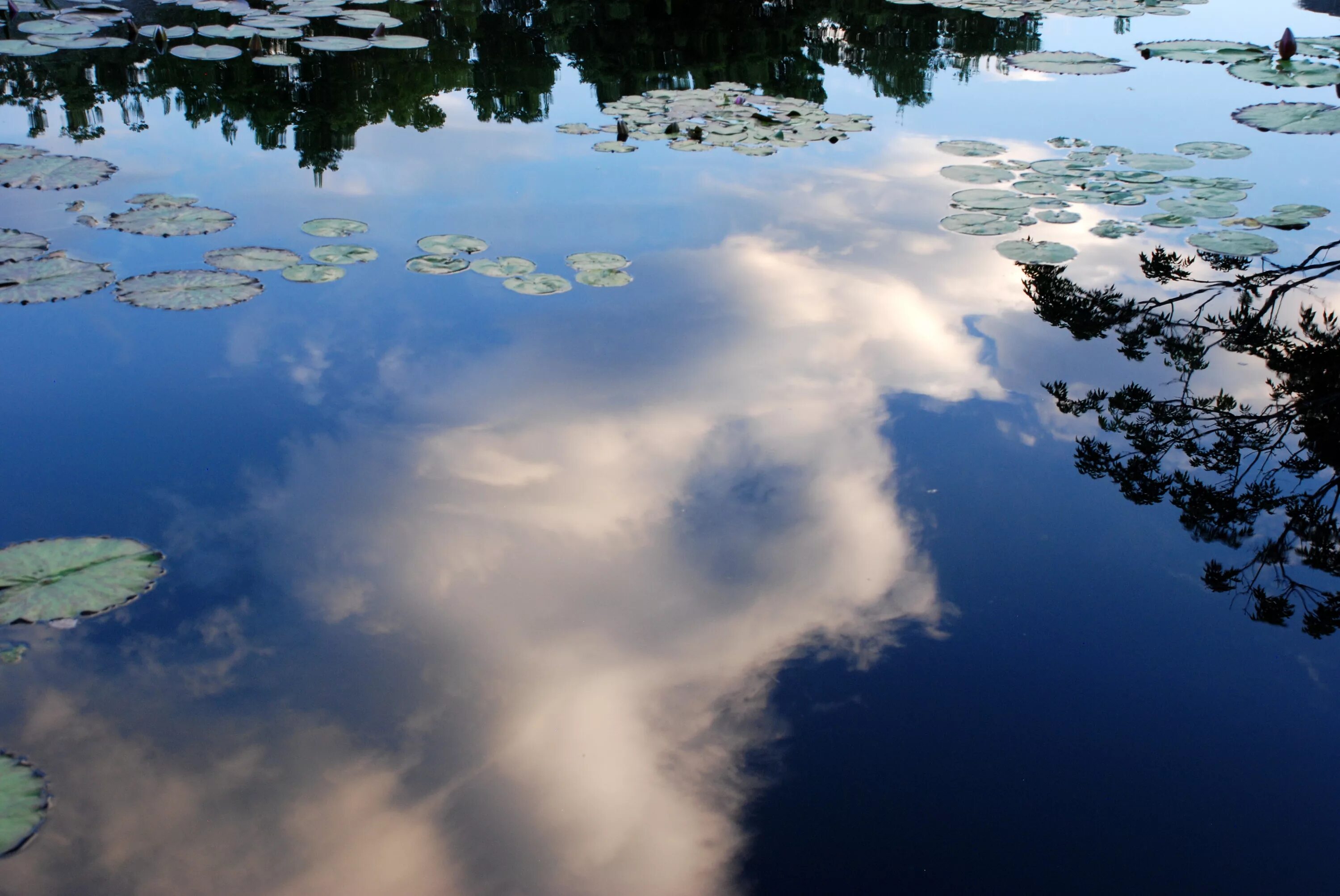 В реку смотрят облака. Отражение облаков в воде. Небо в отражении. Отражение облаков в реке. Отражение облаков в озере.