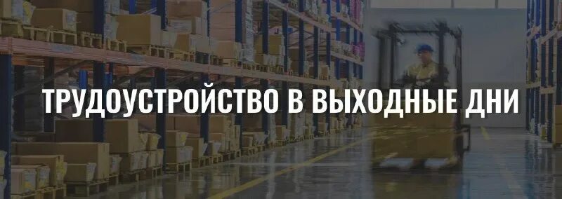 Вахта москва алгоритм 24. Алгоритм 24. Вахта москва алгоритм 24. Озон вахта. Компания алгоритм 24.