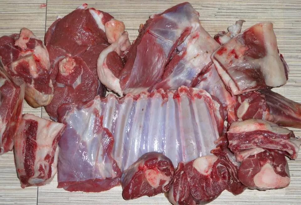 Польза мяса бобра для человека. Польза мяса бобра для человека