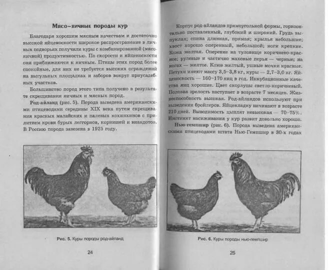 Куры мясо-яичной породы. Среднегодовая яйценоскость + живая масса кур и петухов 
