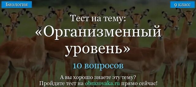 Организменный уровень тесты. Тест по биологии 9 класс организменный уровень. Организменный уровень биология 9 класс. Контрольная работа организменный уровень 9 класс. Организменный уровень контрольная работа 9 класс биология.