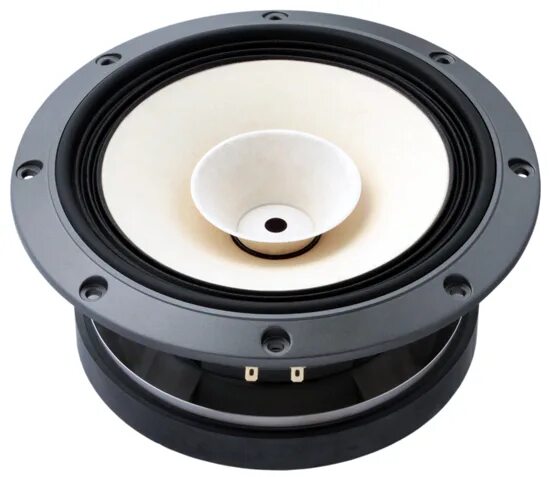 Fe 02 fe203. Fostex fe168ez. Динамик Fostex fт 40. Динамики для Fostex t20. Fostex fe208esigma корпус.