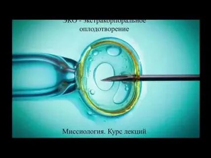 Насильное оплодотворение