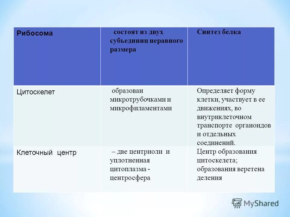 цитоскелет строение и функции. немембранные органоиды клетки строение и функции 9 класс. микротрубочки цитоскелета строение. биология 10 класс таблица. цитоскелет функция органоида.