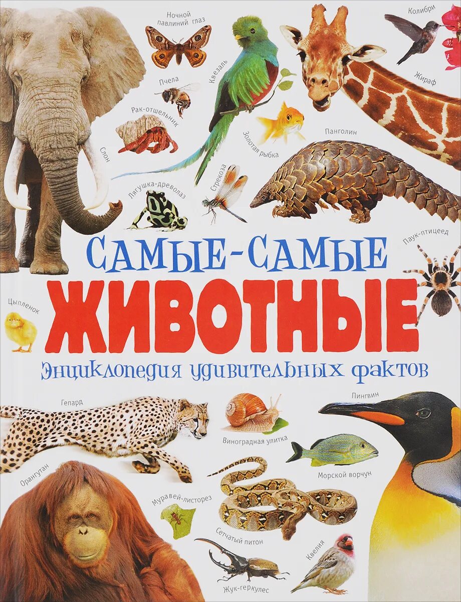 Самые интересные энциклопедии. Энциклопедия животных. животные. детская энциклопедия. детские энциклопедии о животных. энциклопедия животных для детей.