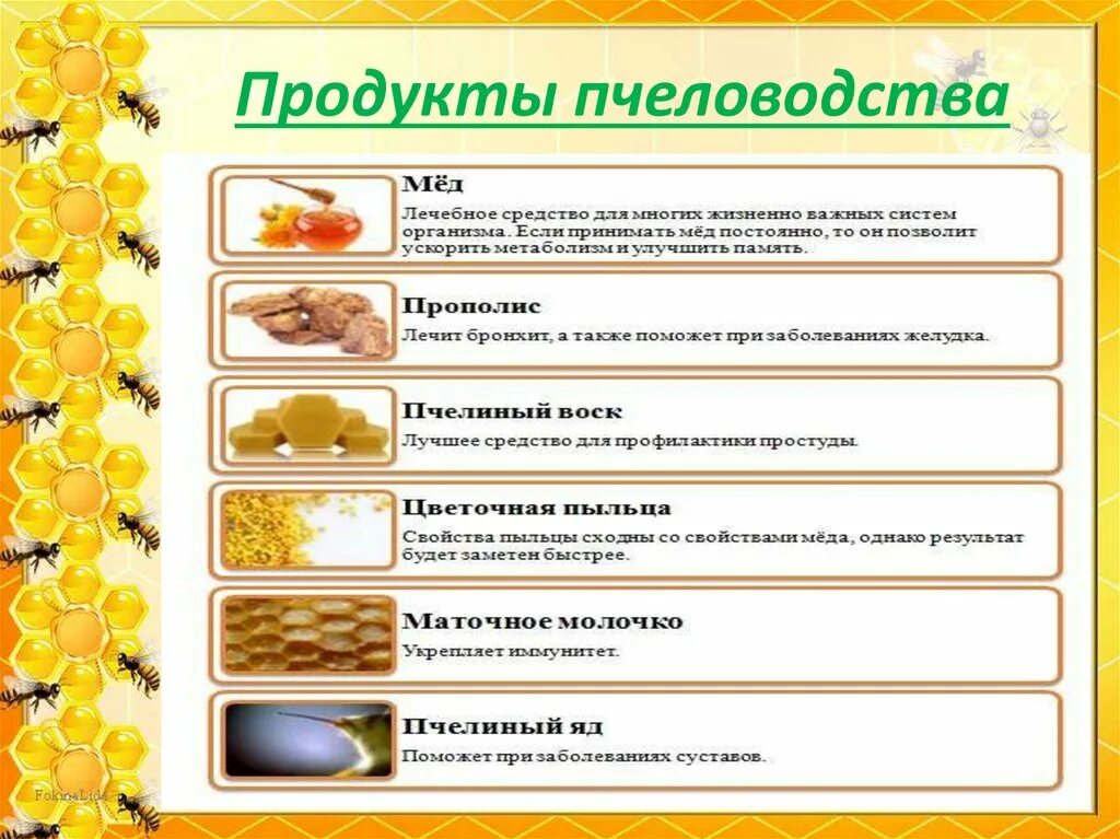 Продукты пчеловодства. Мёд и продукты пчеловодства. Пчелы и их продукты. Пчелы продукты пчеловодства. Продукты пчеловодства и их использование