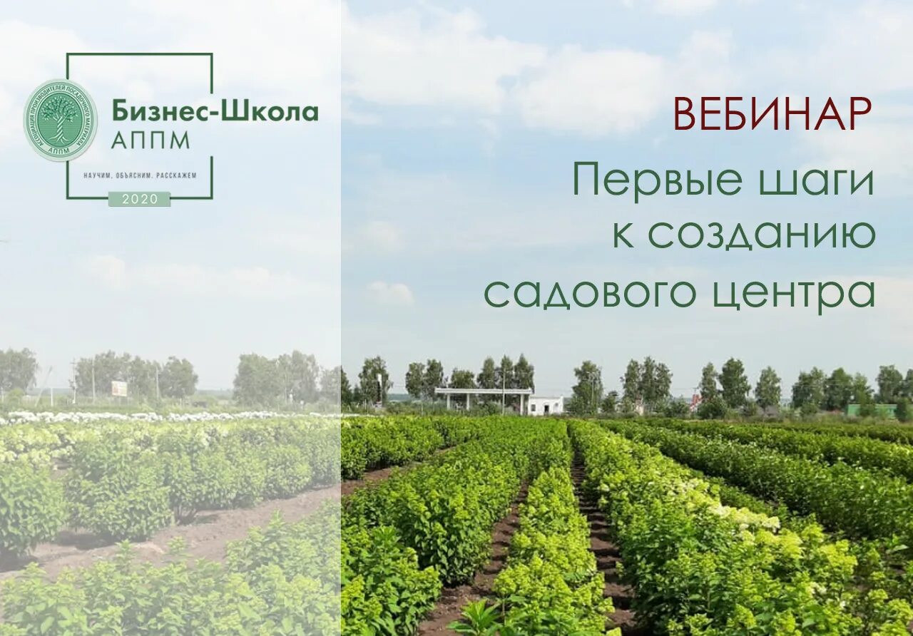 Бизнес план садовый центр. Проект садового центра. Садовый центр схема. Анализ работы садового центра.