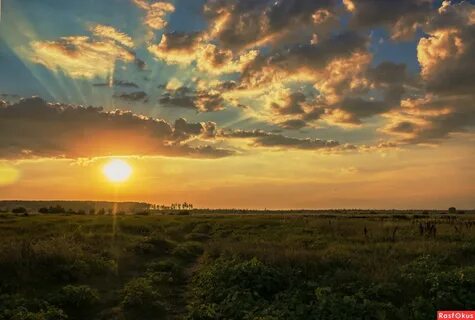 Let sky