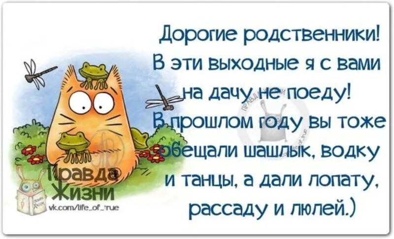 Родственник приезжает жить. Смешные высказывания про родственников. Анекдот про родню. Смешные фразы про родственников. Смешные цитаты про родственников.