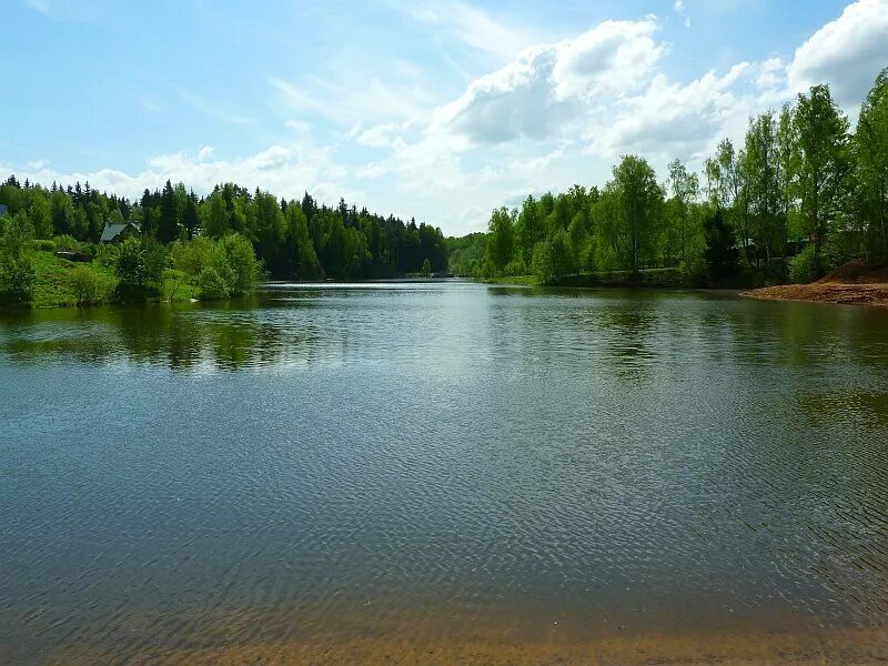 Наро фоминск порядино. Наро-Фоминск лес. Озеро в Наро Фоминске. Порядино (Московская область).