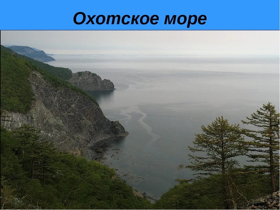 Охотское море является внутренним. Охотское море презентация. охотское море россия. охотское море информация. охотское море название.