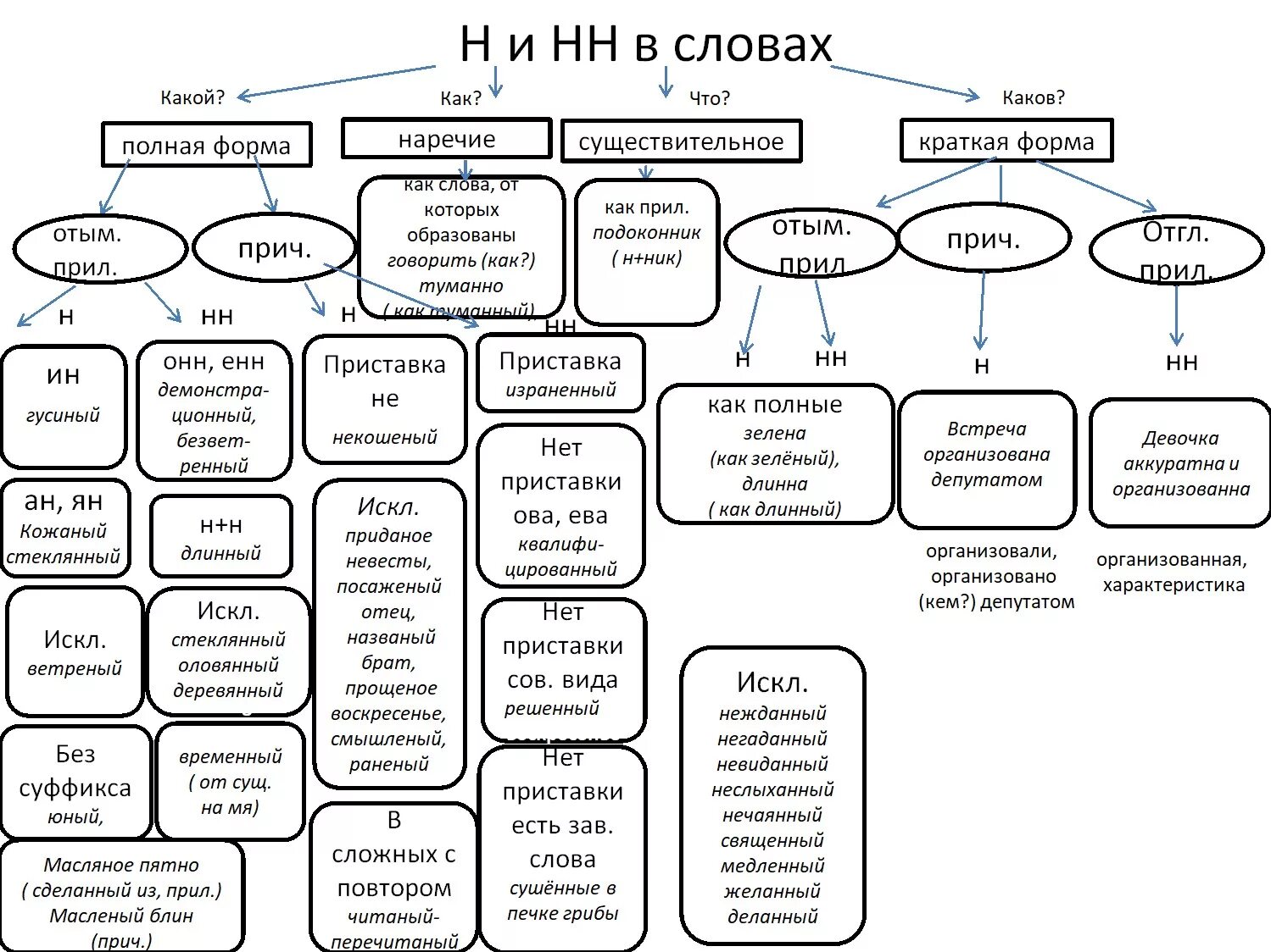 Алгоритм НН С частями речи. Русский язык 8 класс правописание н и НН В разных частях речи. Сводная таблица н и НН В разных частях речи. Одна две н в разных частях речи правило таблица. Н и нн в разных частях примеры