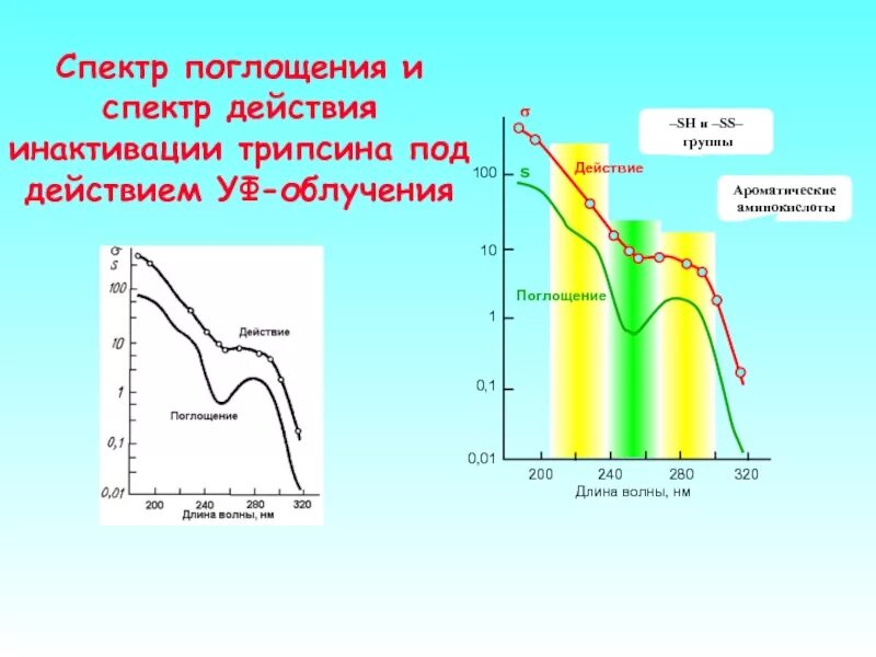 Выполняют функцию поглощения воды. Спектр поглощения. Спектр поглощения график. УФ спектр поглощения. Спектральная кривая поглощения.