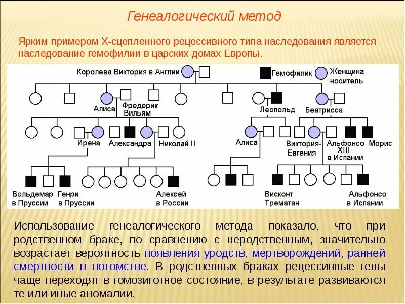 Генеалогический метод наследование гемофилии. Родословная с заболеваниями по генетике. Наследование гемофилии по родословной. Х-сцепленный, рецессивный Тип наследования генеалогическое. Состою в родственных отношениях