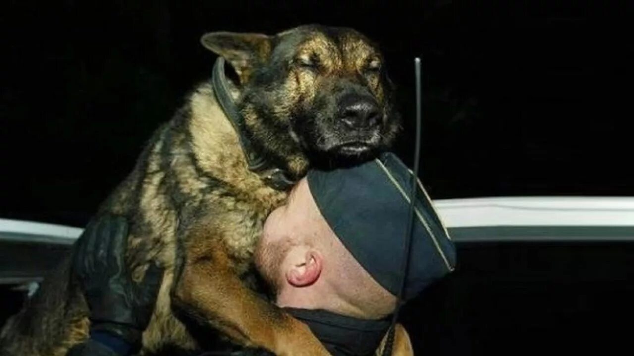 Где встретить хозяев