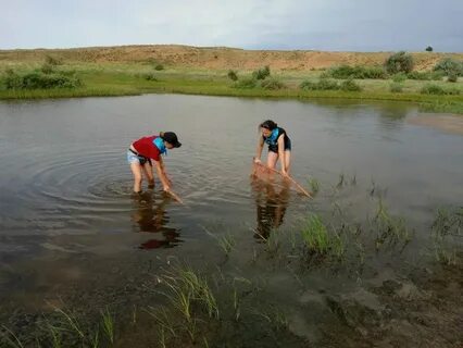 Погода в астрахани село никольское енотаевский