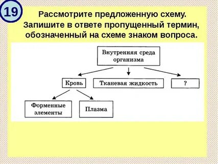 В схемах ответов