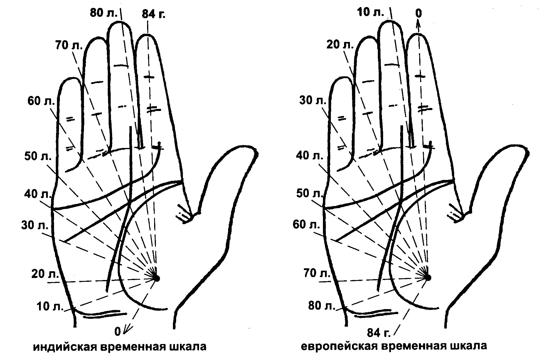 Салонах линия жизни. Хиромантия линии по годам. Как по линии жизни определить Продолжительность жизни. Как определить срок жизни по линии жизни на ладони. Хиромантия линия жизни на руке по годам.