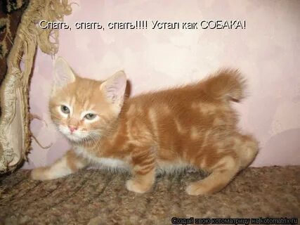 Ну просто спи