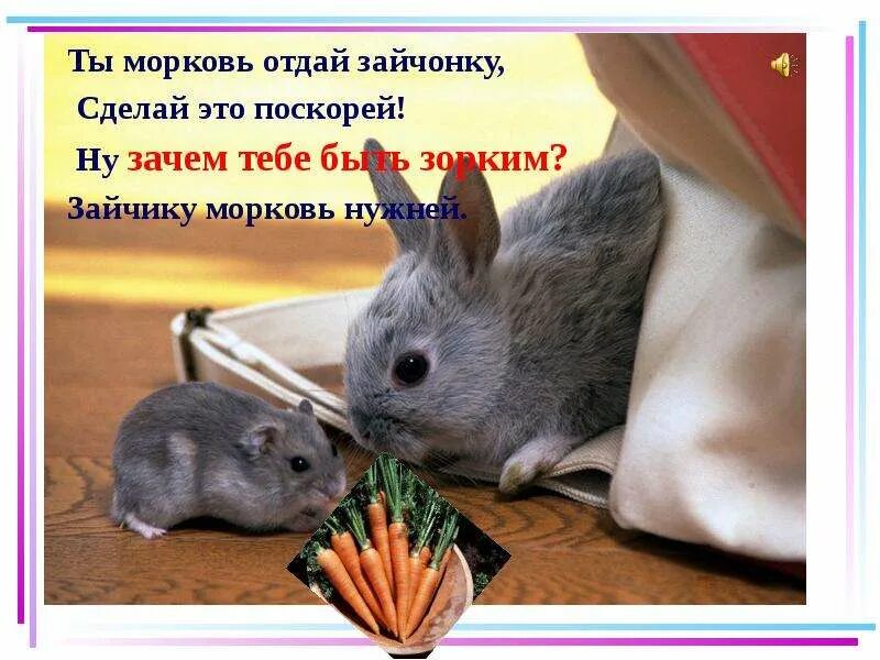 Скорее на то почему