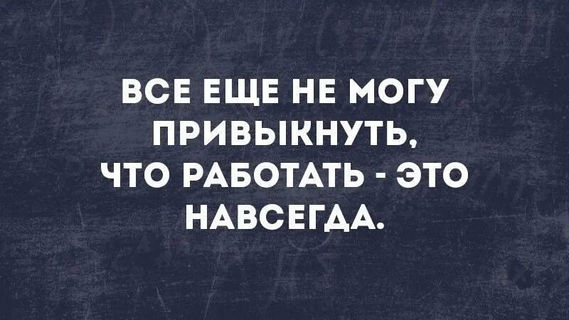 Фразы женщины кошки. Давно пора привыкнуть. Барбара шер давно пора. Давно пора картинки прикольные. Давно пора привыкнуть.