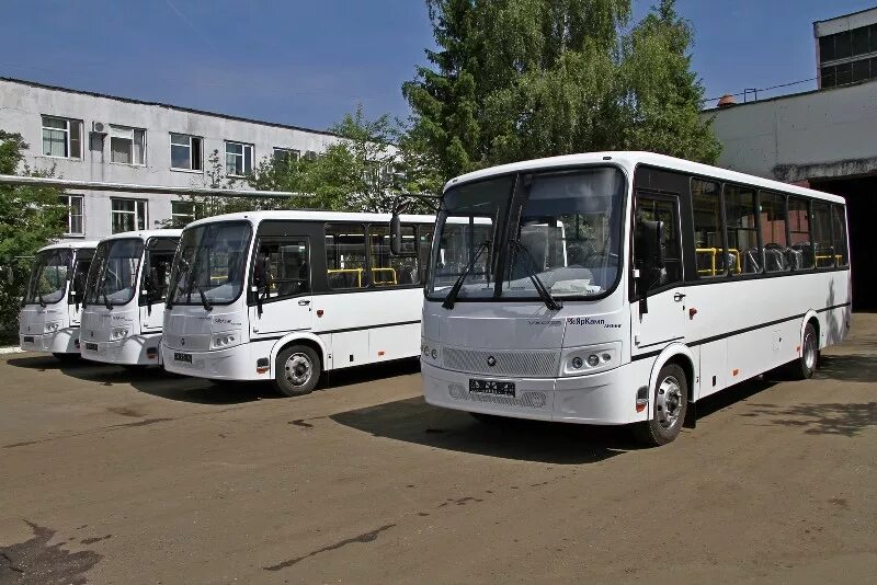 Рыбинский автобус. ПАТП 1 Рыбинск. Ярославль, автобусы ПТП 1 Рыбинск. ПАТП 3 Южно-Сахалинск. ПАЗ вектор ПАТП 1 Ярославль.