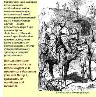 Музыка на горе стоял верблюд
