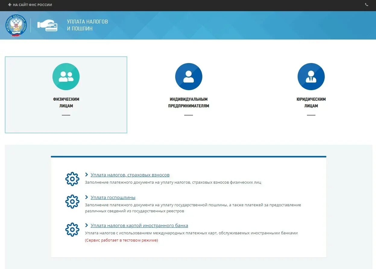 Как проверить енс. Сервис уплата налогов и пошлин. Цифровые сервисы ФНС. Электронные сервисы в налогообложении. Электронные сервисы налоговой службы.
