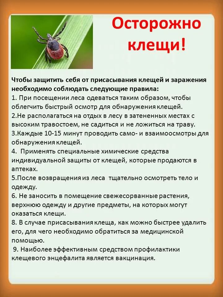 Тема укусы насекомых. Осторожно клещи памятка для родителей в детском саду. Памятка осторожно клещи памятка для родителей. Клещевой энцефалит памятка для родителей в детском саду. Берегись клещей памятка для детей.