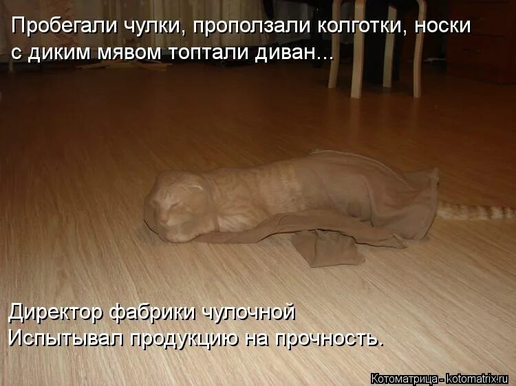 Рифма котик. Шутки про колготки. рифма к слову кот. рифма к слову котик. рифмы со словом котик.