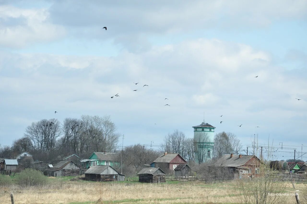 Село Туманово Вяземский район. Туманово Смоленская область Вяземский район. Смоленская область Вяземский район село Туманово. Вязьма деревня Туманово. Шуйское вяземский район