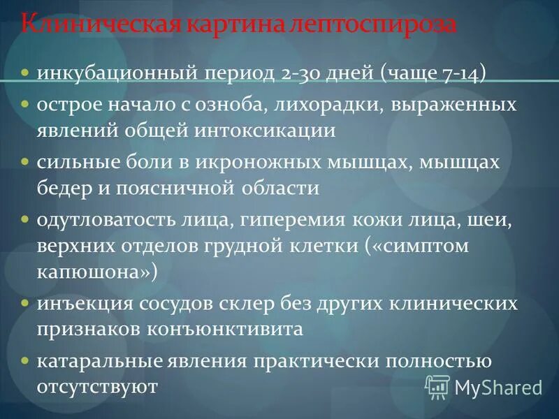 Лептоспироз периоды