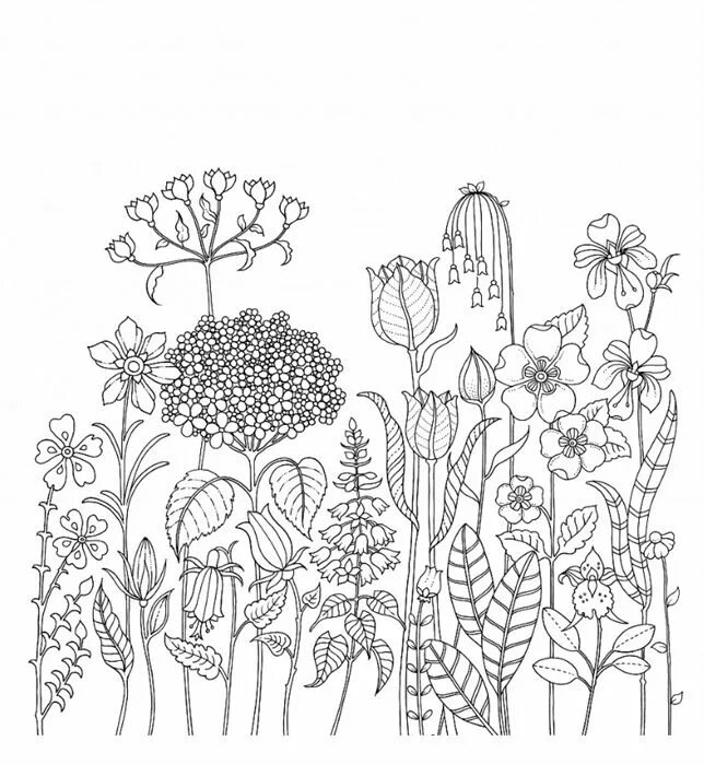 Трава антистресс. Бэсфорд Джоанна "мир цветов". Мир цветов Джоанна Басфорд. Мир растений раскраска. Цветочная раскраска антистресс.